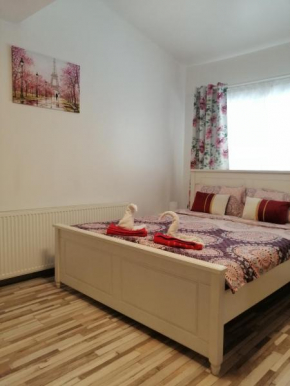 Studio Old Center Braşov